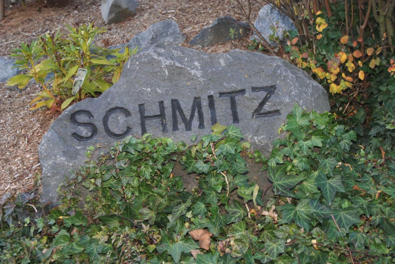 Ferienwohnung Schmitz Anschau Luaran gambar